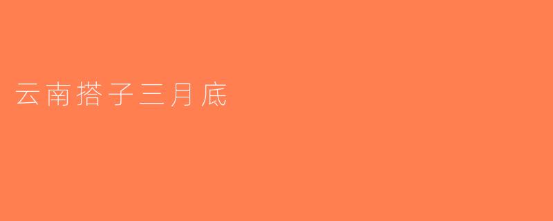 云南搭子三月底