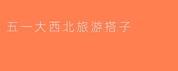 五一大西北旅游搭子