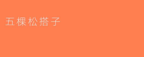 五棵松搭子
