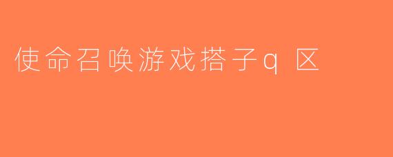 使命召唤游戏搭子q区