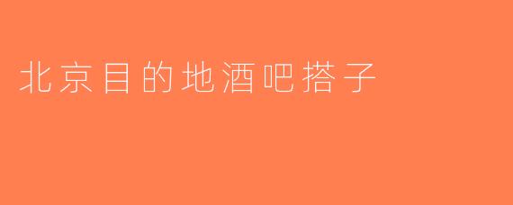 北京目的地酒吧搭子