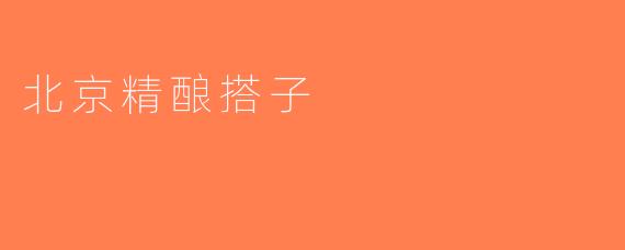 北京精酿搭子