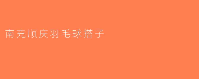南充顺庆羽毛球搭子