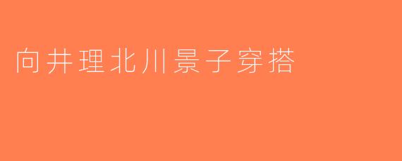 向井理北川景子穿搭
