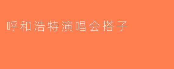 呼和浩特演唱会搭子