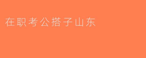 在职考公搭子山东