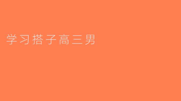 学习搭子高三男