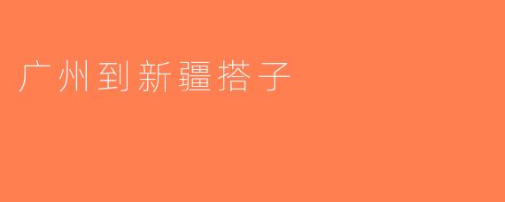 广州到新疆搭子