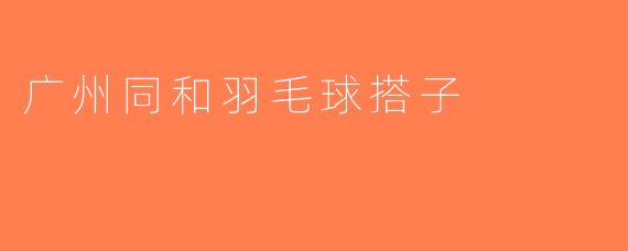 广州同和羽毛球搭子