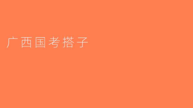 广西国考搭子