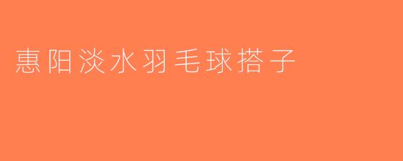 惠阳淡水羽毛球搭子