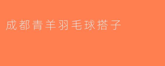 成都青羊羽毛球搭子