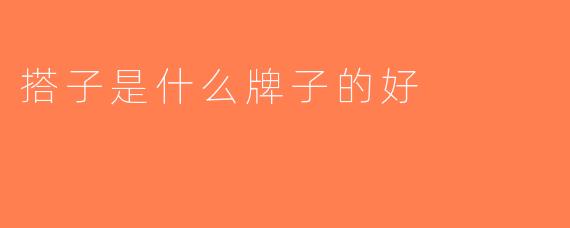 搭子是什么牌子的好