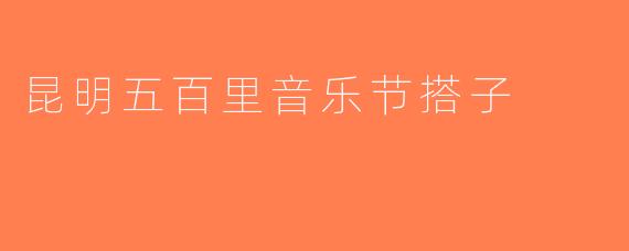 昆明五百里音乐节搭子