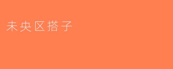 未央区搭子