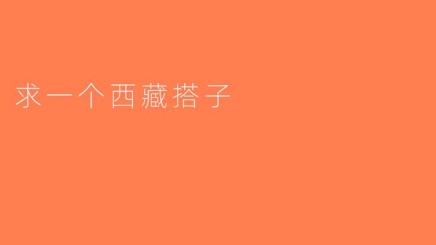 求一个西藏搭子