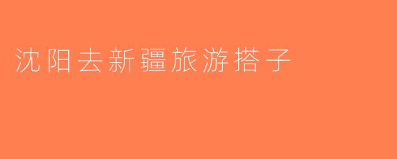 沈阳去新疆旅游搭子