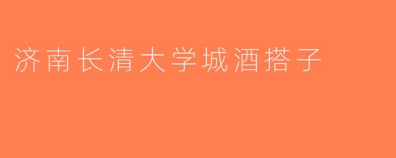 济南长清大学城酒搭子