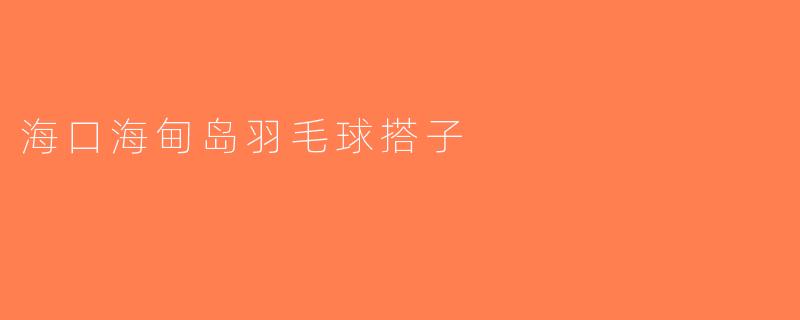 海口海甸岛羽毛球搭子