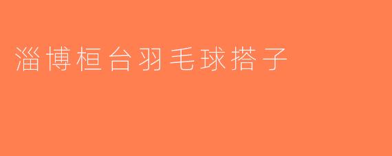 淄博桓台羽毛球搭子