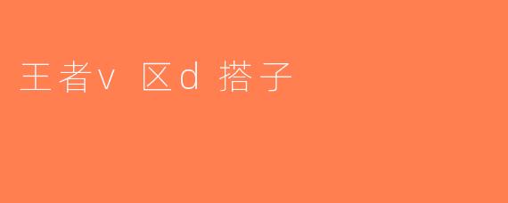 王者v区d搭子