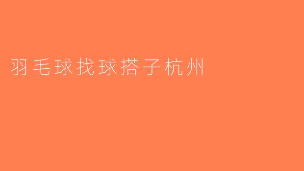 羽毛球找球搭子杭州