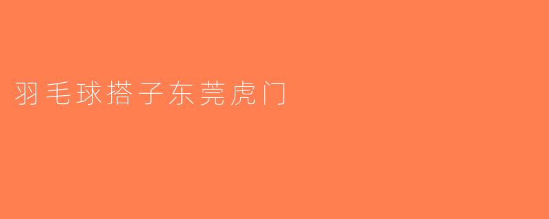 羽毛球搭子东莞虎门