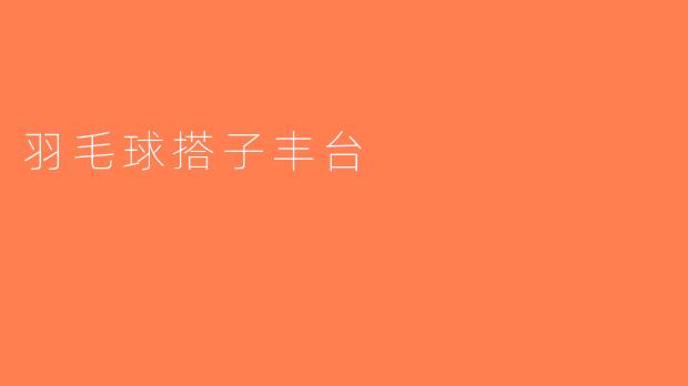 羽毛球搭子丰台