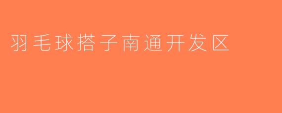 羽毛球搭子南通开发区