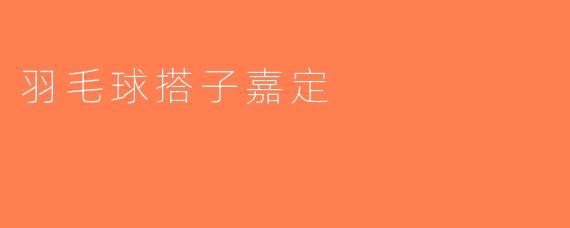 羽毛球搭子嘉定