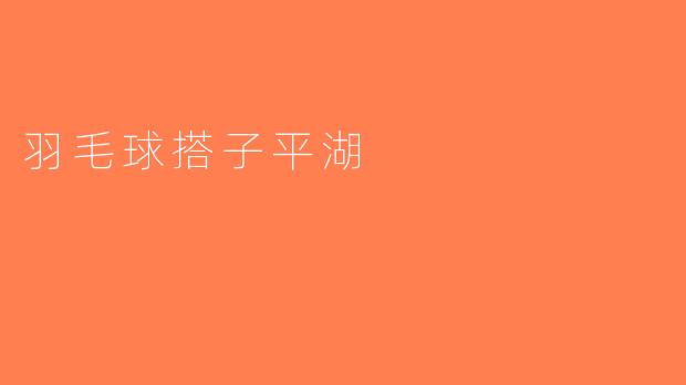 羽毛球搭子平湖