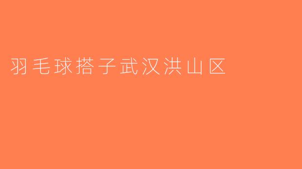 羽毛球搭子武汉洪山区