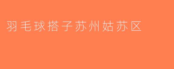 羽毛球搭子苏州姑苏区