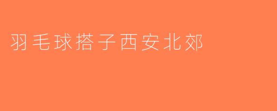 羽毛球搭子西安北郊