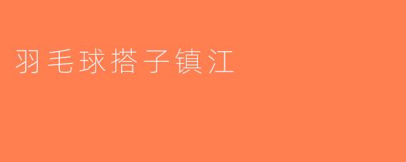 羽毛球搭子镇江