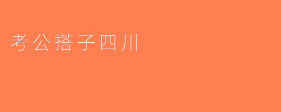 考公搭子四川