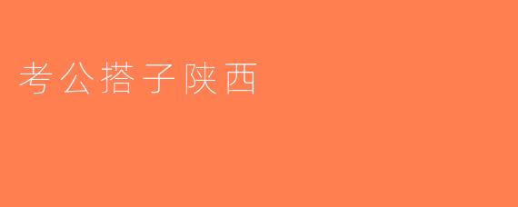 考公搭子陕西