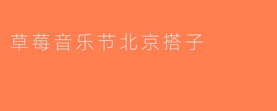 草莓音乐节北京搭子