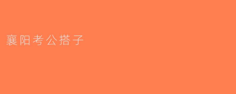 襄阳考公搭子