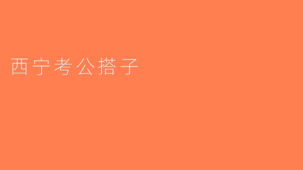 西宁考公搭子