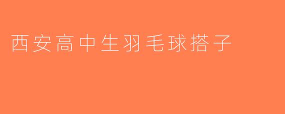 西安高中生羽毛球搭子