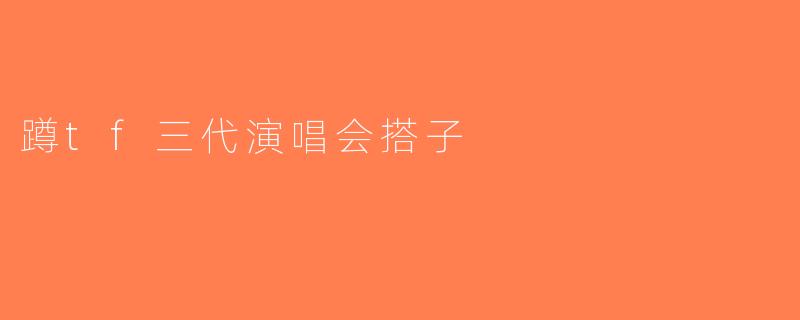 蹲tf三代演唱会搭子