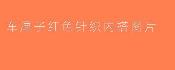 车厘子红色针织内搭图片