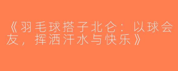 《羽毛球搭子北仑：以球会友，挥洒汗水与快乐》