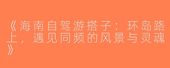 《海南自驾游搭子：环岛路上，遇见同频的风景与灵魂》