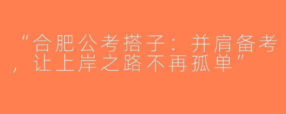 “合肥公考搭子：并肩备考，让上岸之路不再孤单”