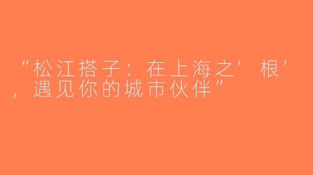 “松江搭子：在上海之‘根’，遇见你的城市伙伴”