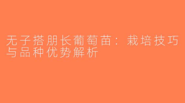无子搭朋长葡萄苗：栽培技巧与品种优势解析