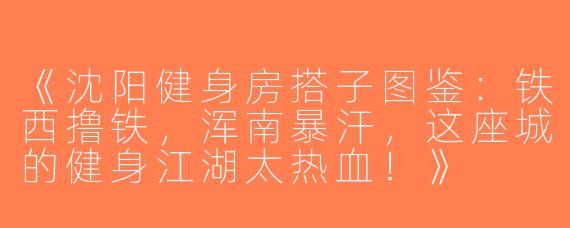 《沈阳健身房搭子图鉴：铁西撸铁，浑南暴汗，这座城的健身江湖太热血！》