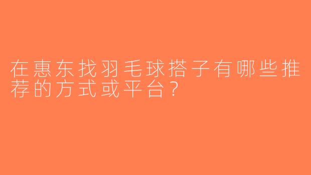 在惠东找羽毛球搭子有哪些推荐的方式或平台？